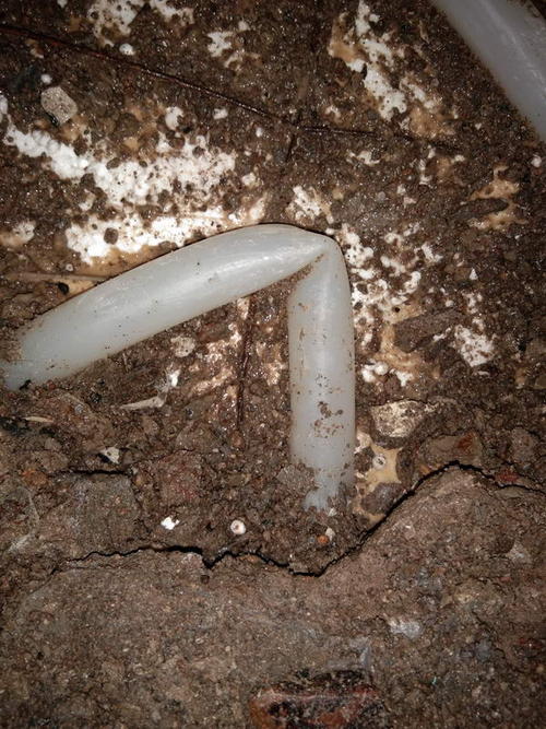 福贡堵点精准查找